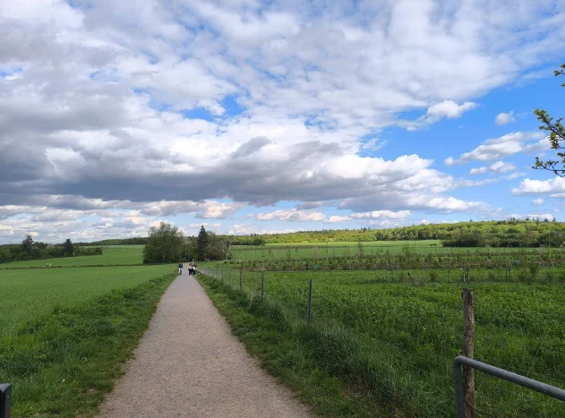 Countryside
